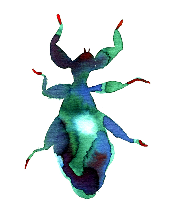 Insectes | Hélène Blanc