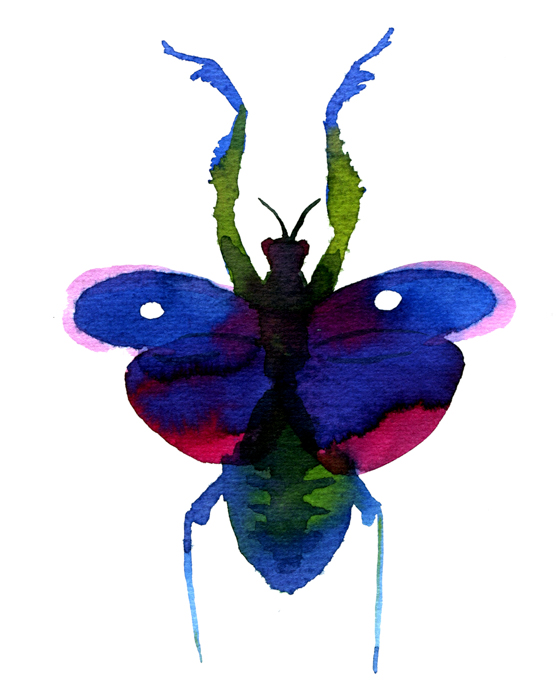 Insectes | Hélène Blanc